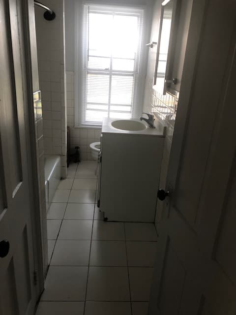 16 MINE STREET- 3 Bedroom House for up to 5 Tenants. 100 Steps to College Ave, W/D in Basement thumbnail 5