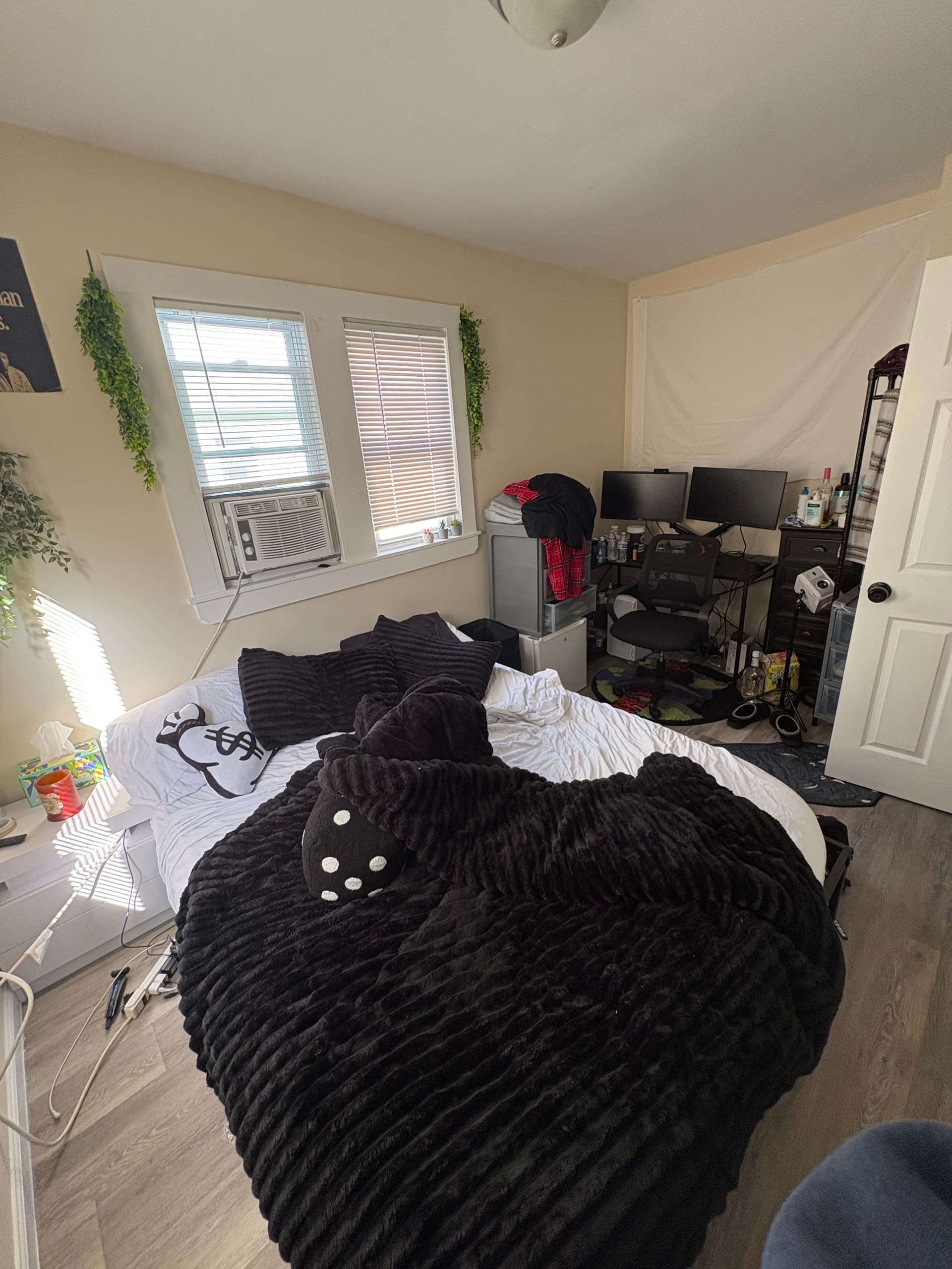 3 Courtlandt: Enormous 8 beds. Legal for 10. 2 1/2 BR. Off street parking for 6 cars. 3 Courtland St thumbnail 16