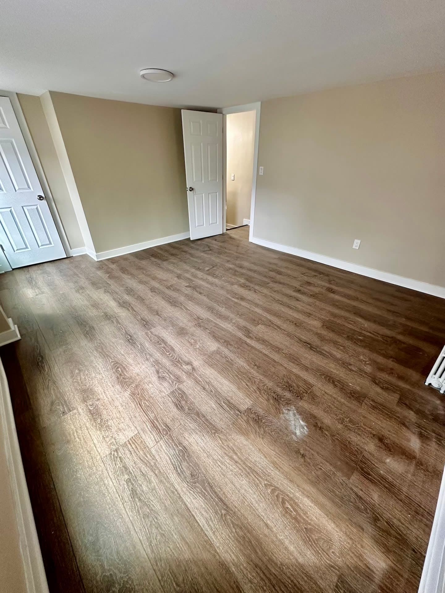 38 Prosper St, less than a block from College Ave, 4 BR, Legal for 7, Fully Renovated thumbnail 4